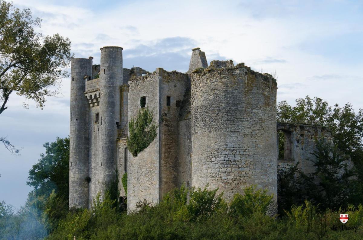 Le Domaine Du Chateau Varennes-les-Narcy Exterior photo